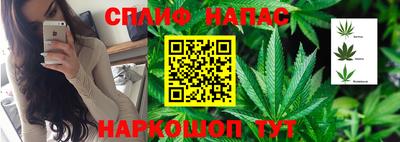 трава Будённовск