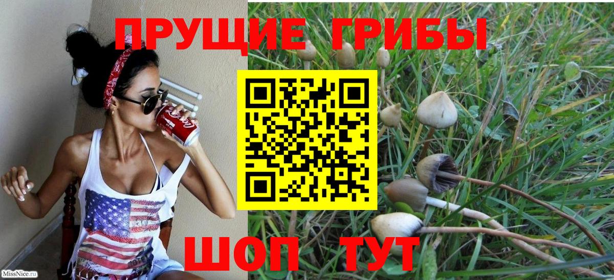 Саров  Псилоцибиновые грибы Psilocybe  Вход с VPN  Псилоцибиновые грибы Magic Shrooms 