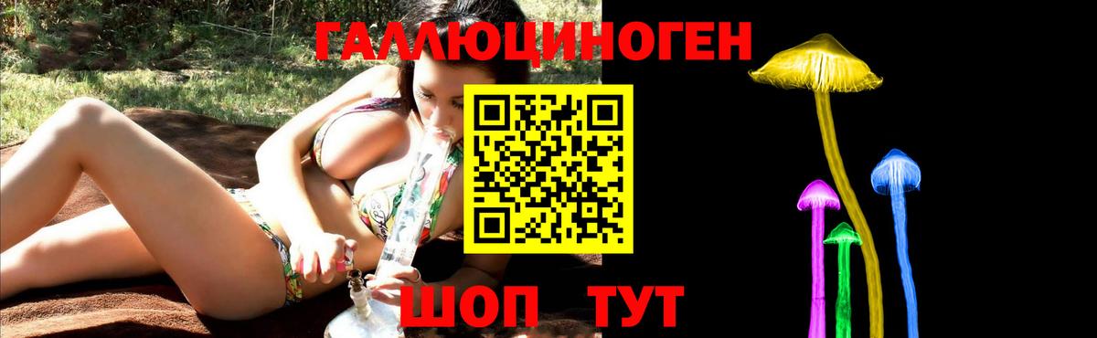 Псилоцибиновые грибы Psilocybe Саров